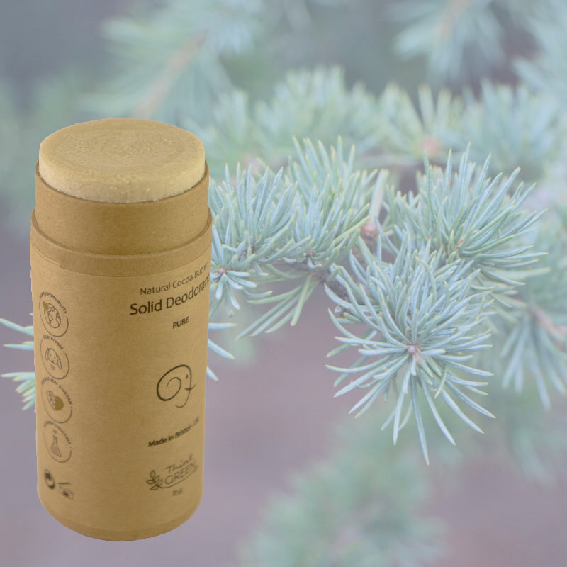 Deodorant - Fresh Wood