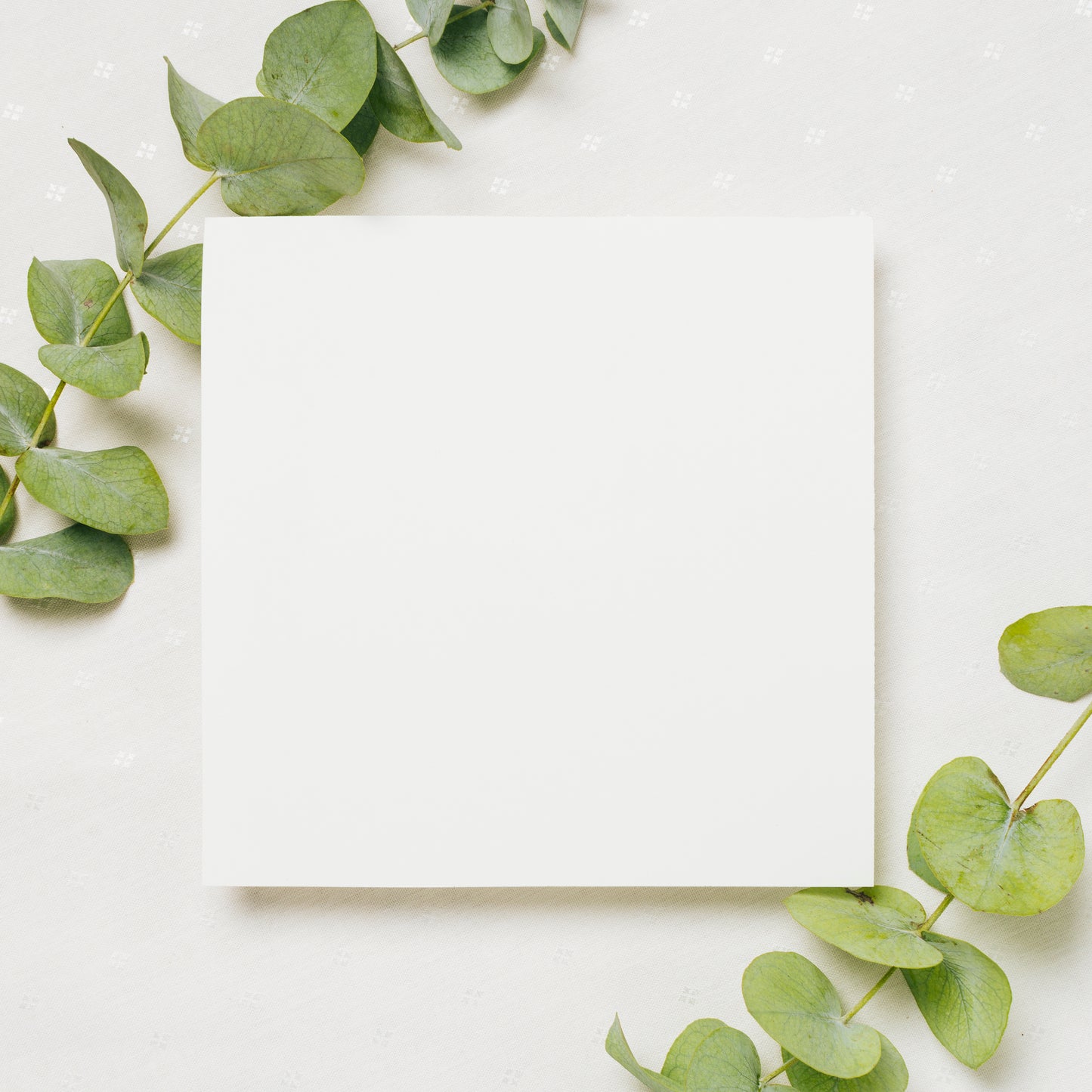Seeded Gift Paper